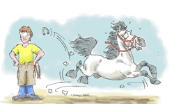 250-150MAPE patkodob