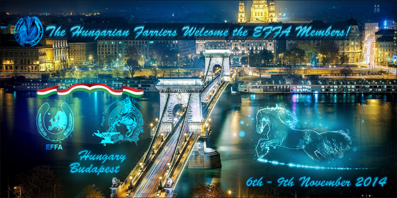 effa_budapest790