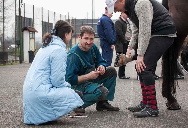 Ürmös Tibor, a rendőrlovak patkolókovácsa