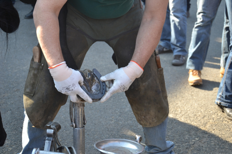 Hans-Castelijns-013-790