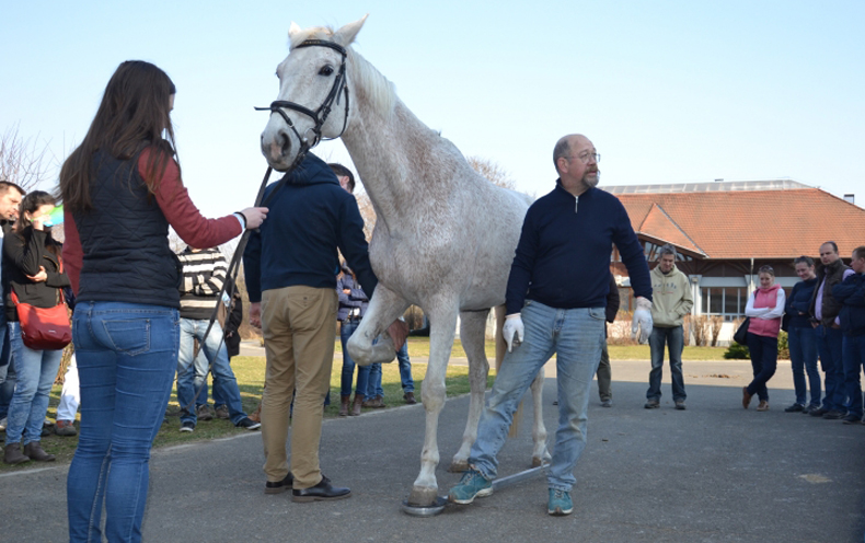 Hans-Castelijns-058-790