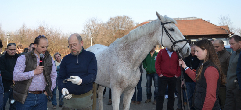 Hans-Castelijns-085-790