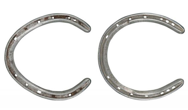 Phar Lap elárverezett patkói