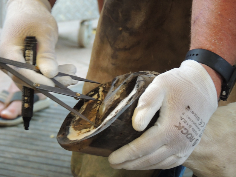 ScottLampert-korzo790