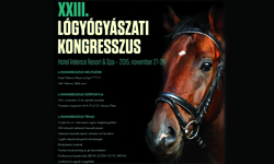 logyogy2015-250