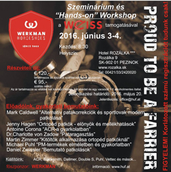 Einladung-Ungarn-250