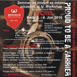 Einladung-slowakisch-250